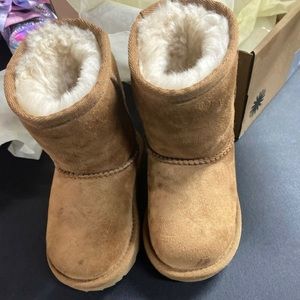 UGGS 6c